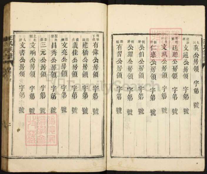 广东省湛江市遂溪县王氏族谱-王氏族谱.pdf电子版预览图4