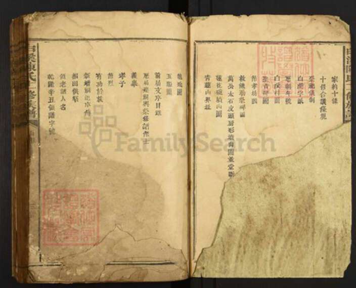 江西省赣州市瑞金市丁陂乡陈氏族谱-白溪陈氏十一修族谱.pdf电子版预览图2