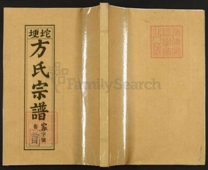 安徽省安庆市宜秀区方氏诒谋堂族谱-坨埂方氏宗谱.pdf电子版缩略图