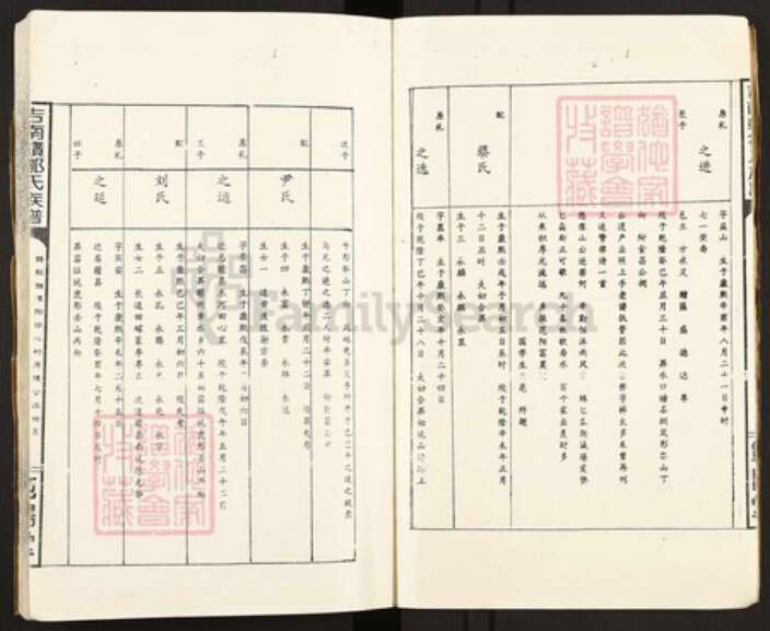 江西省邹氏范阳堂族谱-吉南赣邹氏族谱.pdf电子版预览图3