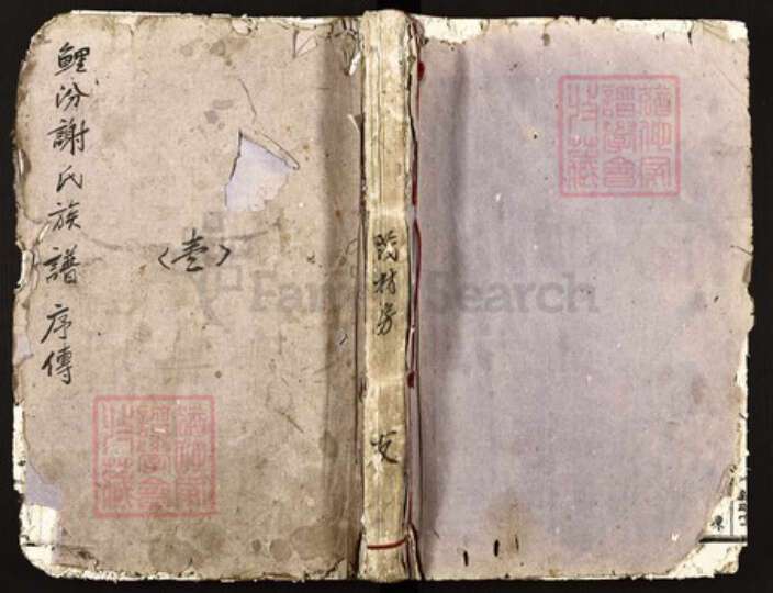 江西省赣州市于都县银坑镇谢氏亲睦堂族谱-雩都谢氏联修族谱初修.pdf电子版缩略图