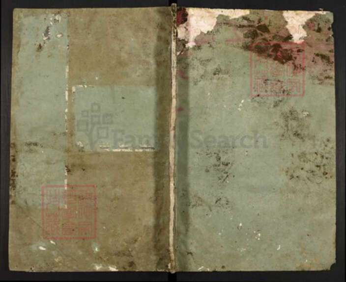 浙江省杭州市淳安县县陈氏聚星堂族谱-儒峰陈氏宗谱.pdf电子版缩略图