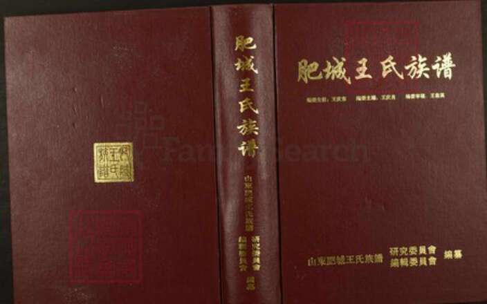 山东省泰安市肥城县王氏族谱-肥城王氏族谱.pdf电子版缩略图