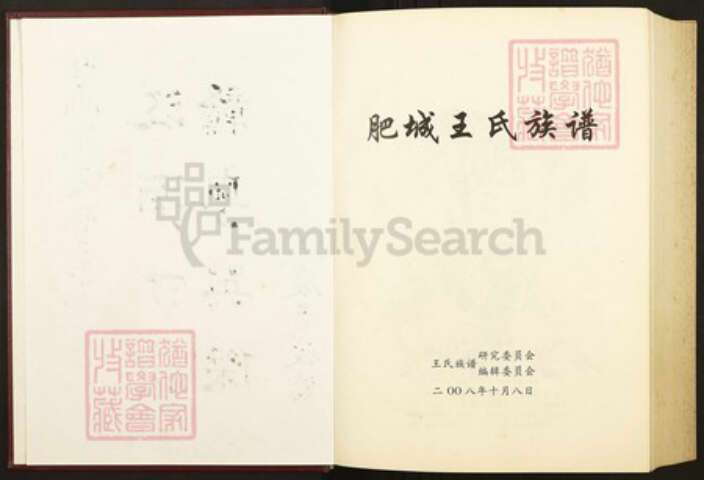 山东省泰安市肥城县王氏族谱-肥城王氏族谱.pdf电子版预览图2