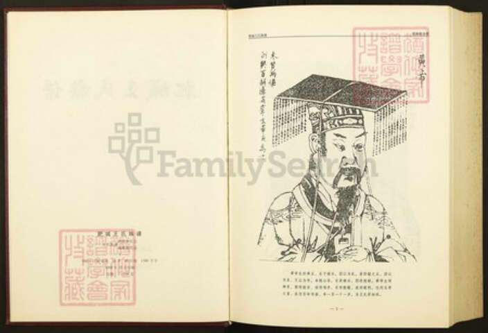 山东省泰安市肥城县王氏族谱-肥城王氏族谱.pdf电子版预览图3