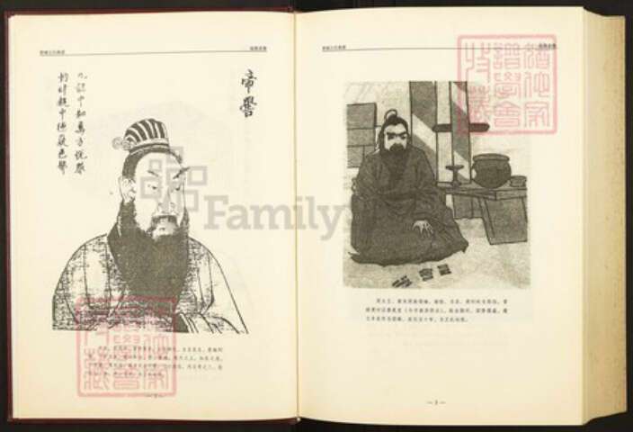 山东省泰安市肥城县王氏族谱-肥城王氏族谱.pdf电子版预览图4