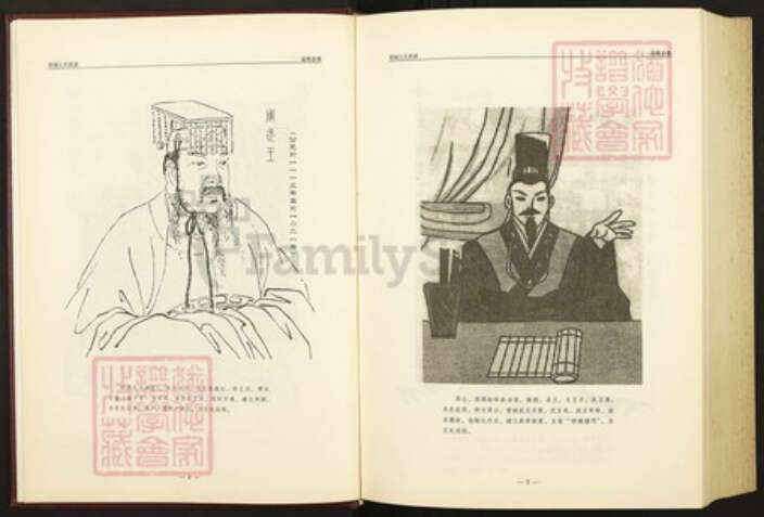 山东省泰安市肥城县王氏族谱-肥城王氏族谱.pdf电子版预览图5