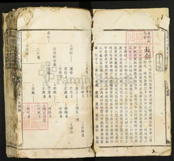 江西省赣州市石城县大由乡潘氏族谱-石城羊谷潘氏五修族谱.pdf电子版预览图2