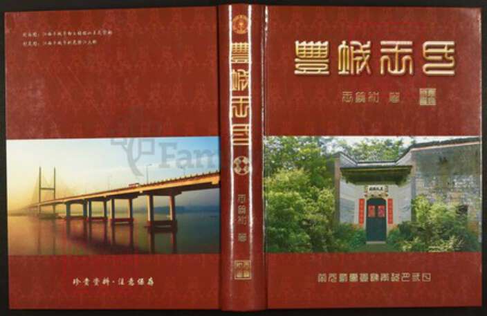 江西省宜春市丰城市王氏族谱-丰城王氏.pdf电子版缩略图