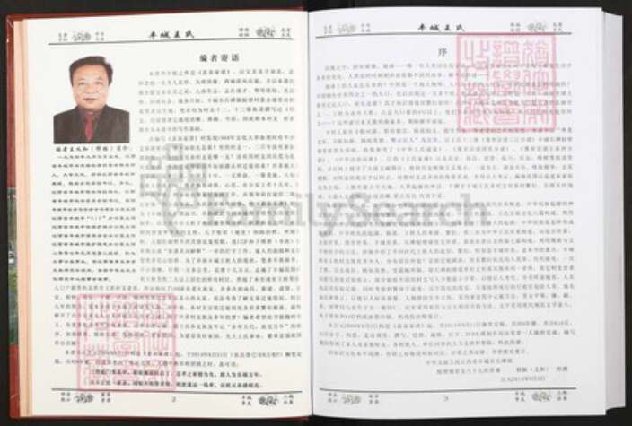 江西省宜春市丰城市王氏族谱-丰城王氏.pdf电子版预览图2