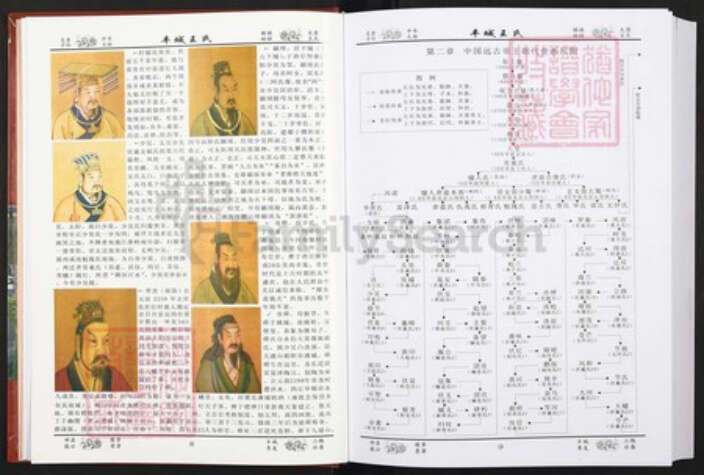 江西省宜春市丰城市王氏族谱-丰城王氏.pdf电子版预览图5