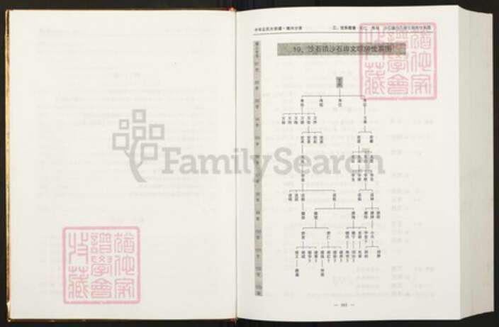 江西省赣州市丘氏族谱-中华丘(邱)氏大宗谱.江西赣州分谱.pdf电子版预览图4