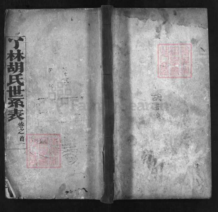 湖北省黄冈市红安县杏花乡胡氏族谱-了林胡氏世系表 [4卷, 首2卷].pdf电子版缩略图