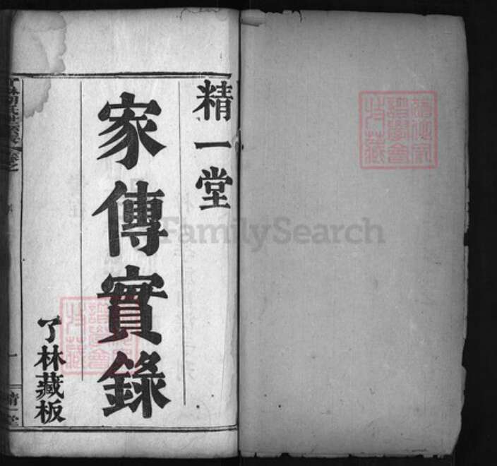 湖北省黄冈市红安县杏花乡胡氏族谱-了林胡氏世系表 [4卷, 首2卷].pdf电子版预览图1