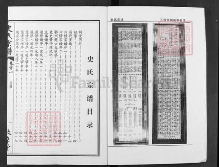 湖北省武汉市新洲区史氏敦本堂族谱-史氏宗谱.pdf电子版预览图4