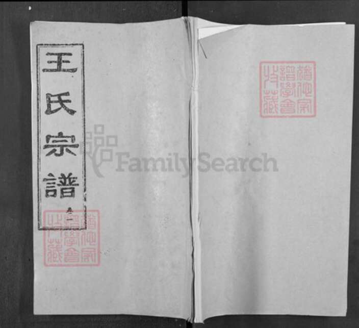 湖北省武汉市新洲区王氏三槐堂族谱-王氏宗谱.pdf电子版缩略图