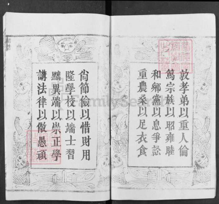 湖北省武汉市新洲区王氏三槐堂族谱-王氏宗谱.pdf电子版预览图2