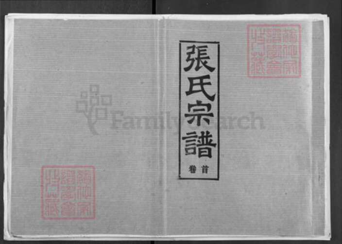 湖北省孝感市汉川市张氏南轩堂族谱-张氏宗谱.pdf电子版缩略图