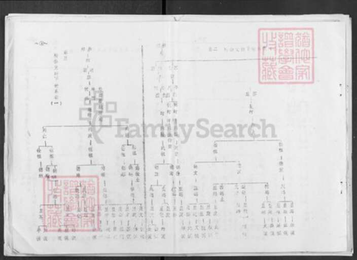 湖北省孝感市汉川市张氏南轩堂族谱-张氏宗谱.pdf电子版预览图4