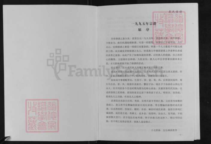 山西省忻州市定襄县山西省忻州市定襄县河边镇戎氏族谱-戎氏族谱.pdf电子版预览图1