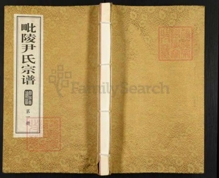 江苏省常州市天宁区尹氏承启堂族谱-毗陵尹氏宗谱.pdf电子版缩略图