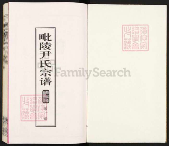 江苏省常州市天宁区尹氏承启堂族谱-毗陵尹氏宗谱.pdf电子版预览图1