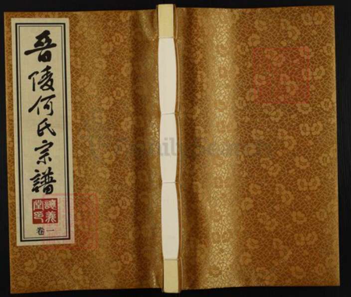 江苏省常州市武进县何氏让义堂族谱-晋陵何氏宗谱.pdf电子版缩略图