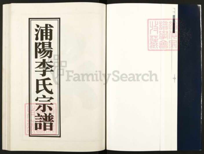 浙江省金华市浦江县李氏族谱-浦阳李氏宗谱.pdf电子版预览图1