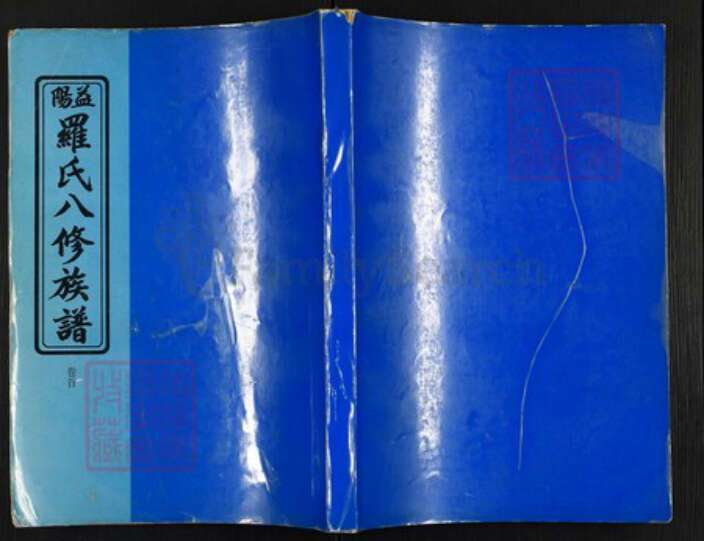 湖南省益阳市赫山罗氏族谱-罗氏八修族谱.pdf电子版缩略图