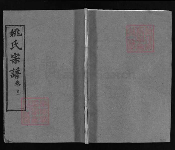 湖北省黄冈市黄州区姚氏族谱-姚氏宗谱 [13卷,首2卷].pdf电子版缩略图