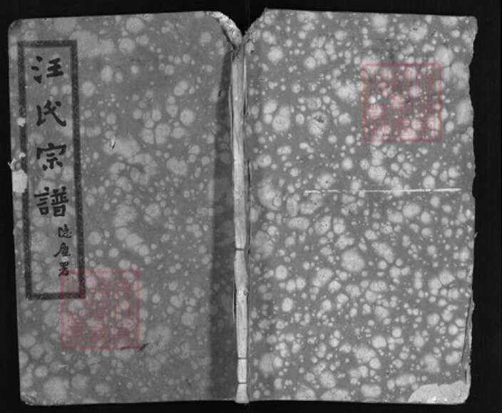 湖北省黄冈市汪氏族谱-汪氏宗谱 [21卷,首4卷,附卷2卷].pdf电子版缩略图