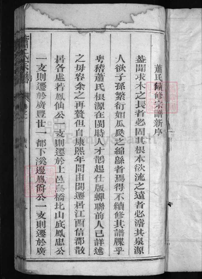 福建省泉州市永春县江西省上饶市广丰区萧氏族谱-萧氏宗谱 [10卷].pdf电子版预览图2