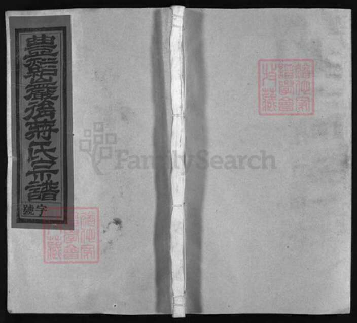 江西省上饶市广丰区江西省吉安市永丰县蒋氏族谱-丰谿岩后蒋氏宗谱 [20卷].pdf电子版缩略图