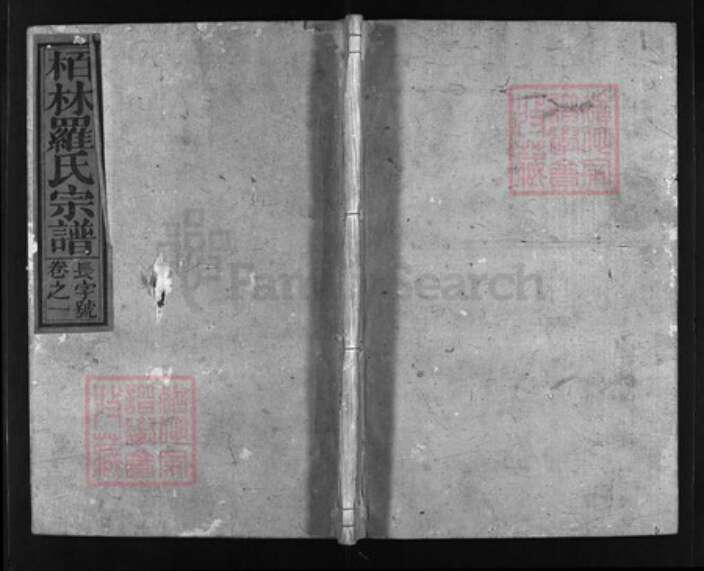 江西省上饶市罗氏族谱-柏林罗氏宗谱 [4卷].pdf电子版缩略图