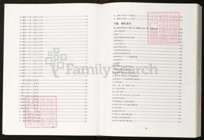 四川省成都市四川省成都市双流区煎茶街道胡氏族谱-成都天府新区揽祥埂胡氏族谱.pdf电子版预览图5