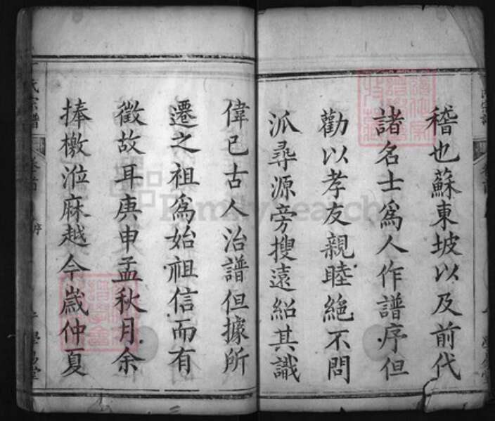 湖北省黄冈市红安县杏花乡丁氏族谱-丁氏宗谱 [3卷,首1卷].pdf电子版预览图2