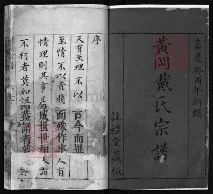 湖北省黄冈市黄州区戴氏族谱-戴氏宗谱 [10卷].pdf电子版预览图1