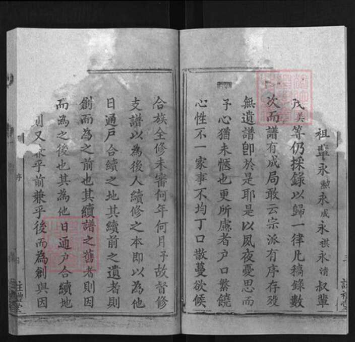 湖北省黄冈市黄州区戴氏族谱-戴氏支谱 [6卷].pdf电子版预览图4