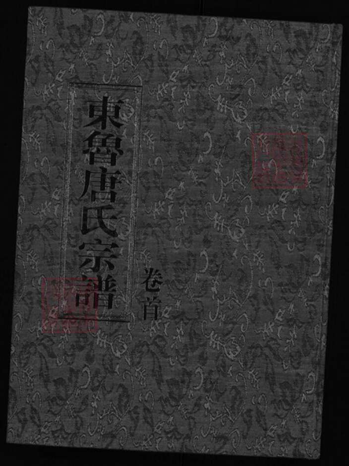 浙江省唐氏族谱-东鲁唐氏宗谱 [4卷].pdf电子版缩略图