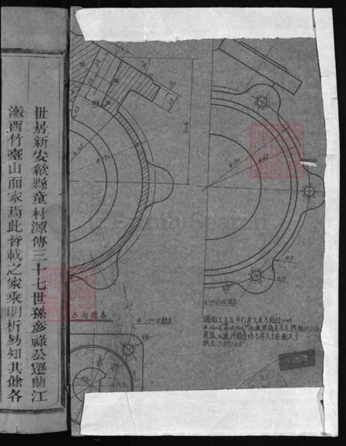 浙江省金华市童氏族谱-杨塘童氏宗谱 [2卷].pdf电子版预览图1