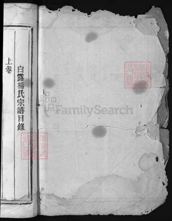 浙江省杨氏族谱-白露杨氏宗谱 [上下卷].pdf电子版预览图1