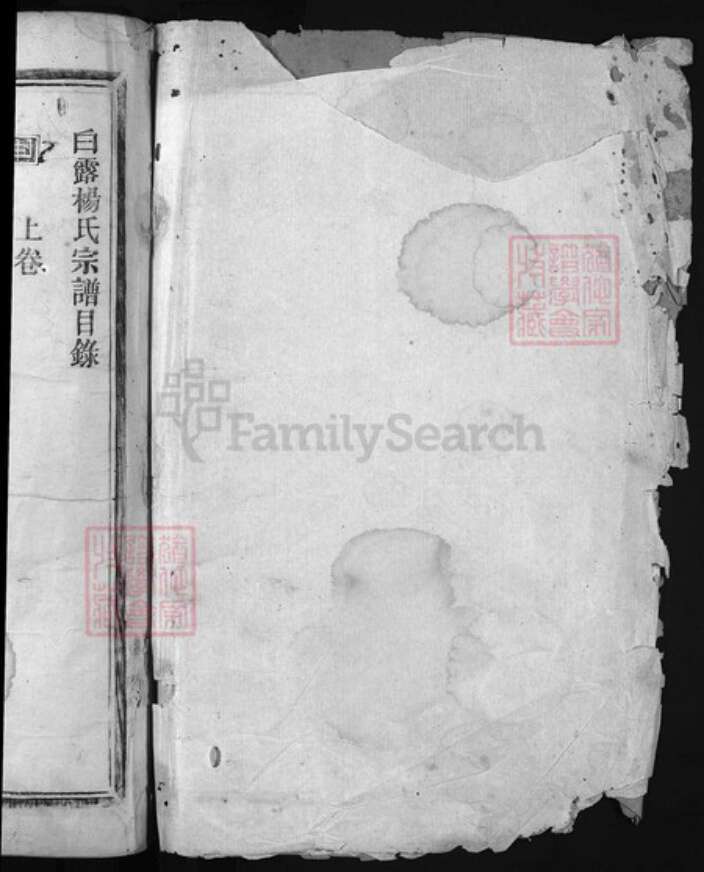 浙江省杨氏族谱-白露杨氏宗谱 [1卷].pdf电子版预览图1