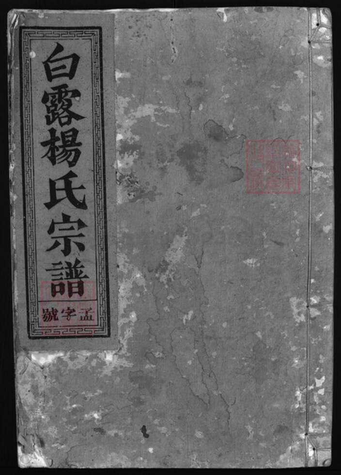 浙江省杨氏族谱-白露杨氏宗谱 [3卷].pdf电子版缩略图