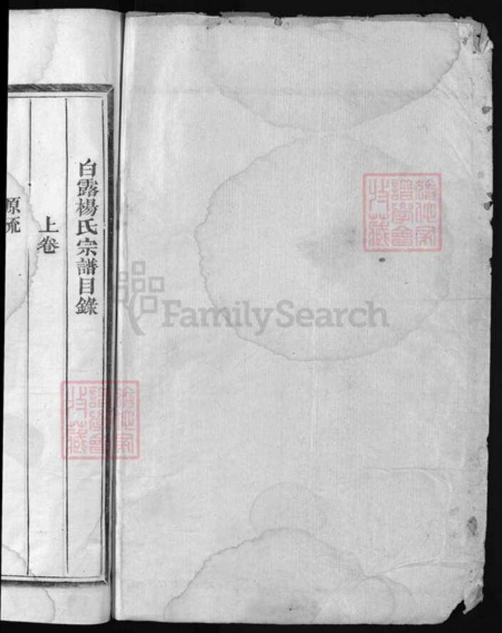 浙江省杨氏族谱-白露杨氏宗谱 [3卷].pdf电子版预览图1