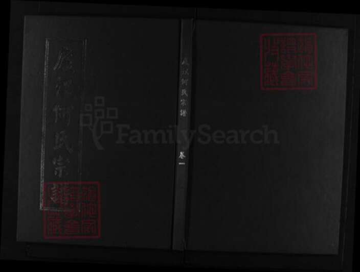 浙江省何氏族谱-卢江何氏宗谱 [6卷].pdf电子版缩略图