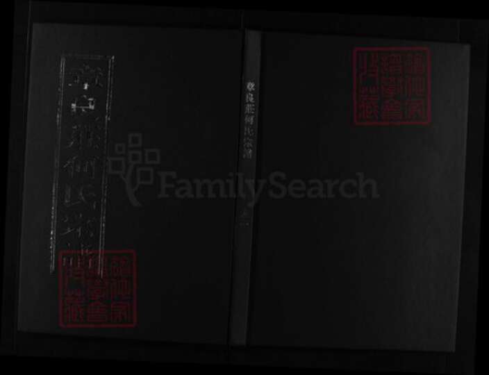 浙江省温州市苍南县何氏族谱-章良庄何氏族谱 [2卷].pdf电子版缩略图