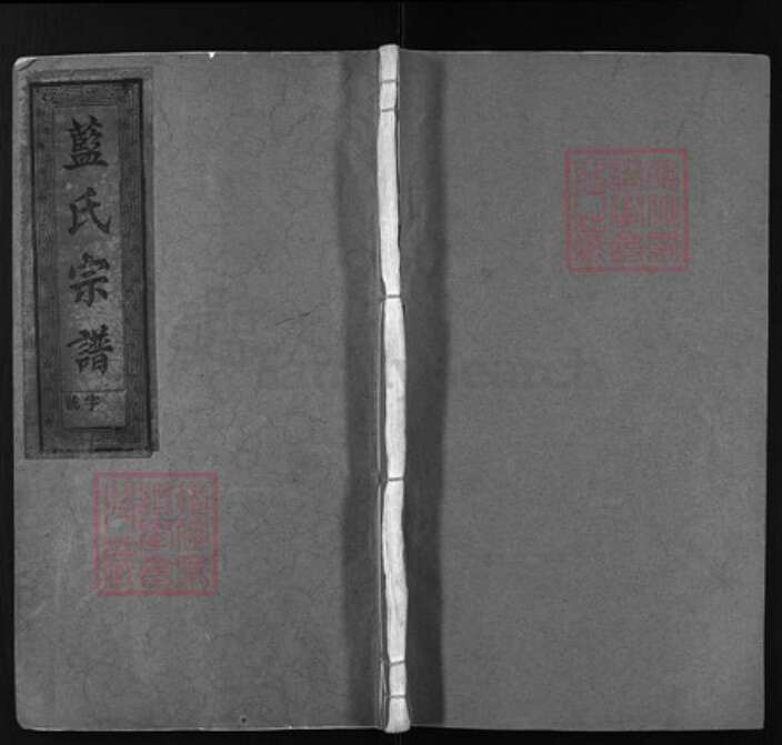 福建省龙岩市上杭县蓝氏族谱-蓝氏宗谱 [8卷].pdf电子版缩略图