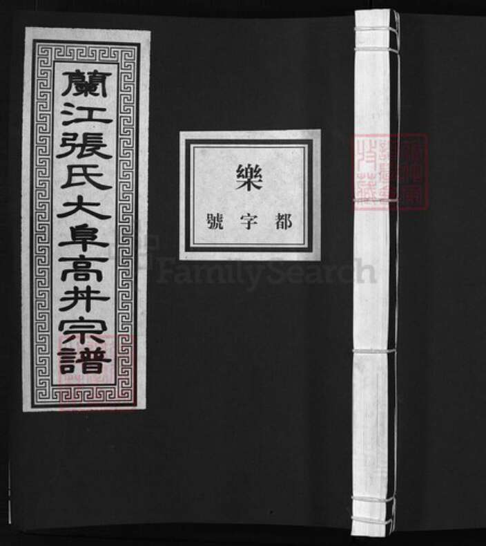 浙江省张氏族谱-兰江张氏大阜高丼宗谱 [4卷,首1卷].pdf电子版缩略图