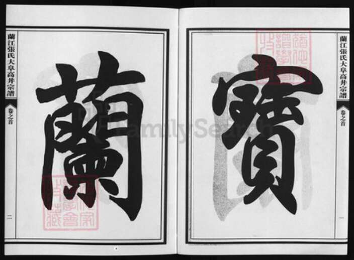 浙江省张氏族谱-兰江张氏大阜高丼宗谱 [4卷,首1卷].pdf电子版预览图2