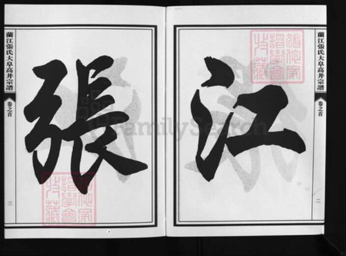 浙江省张氏族谱-兰江张氏大阜高丼宗谱 [4卷,首1卷].pdf电子版预览图3